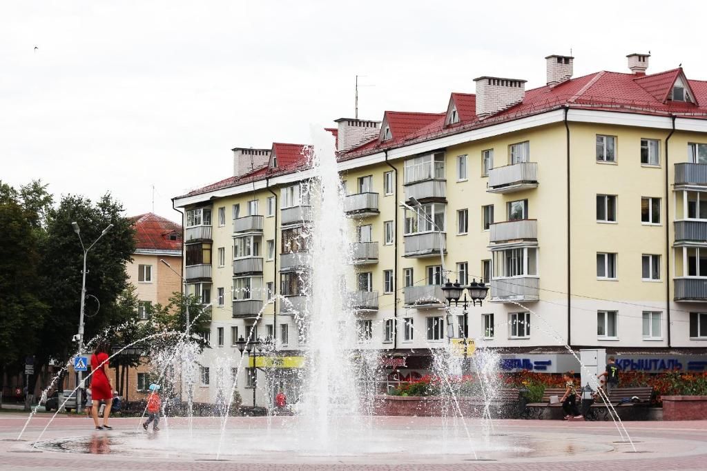 Апартаменты Comfort apartments in the center of Polotsk Полоцк-17